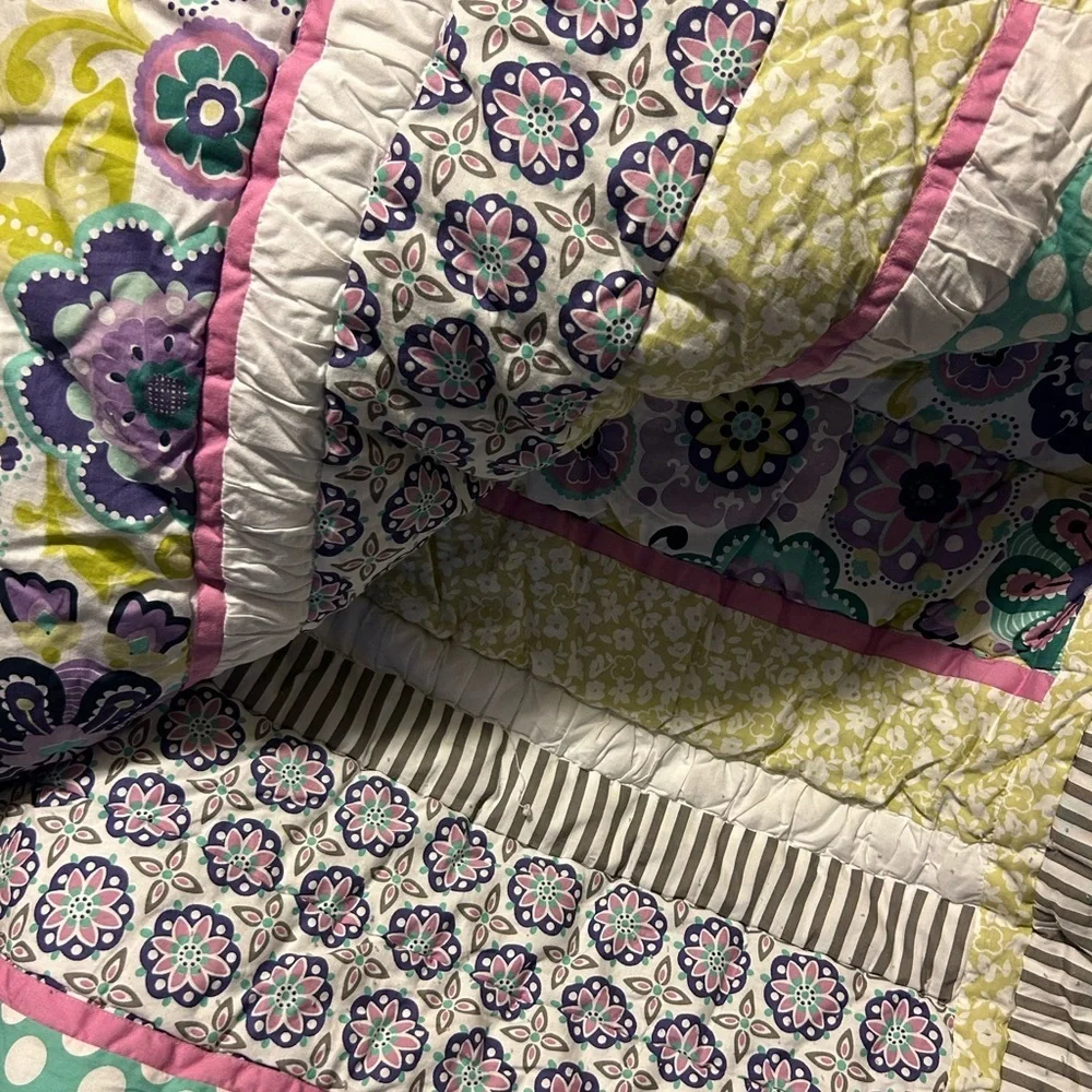 Pottery Barn Teen Girl Floral Twin Comforter W/ Pillow Sham